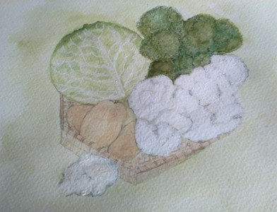 Lynne, veg, watercolour.jpg